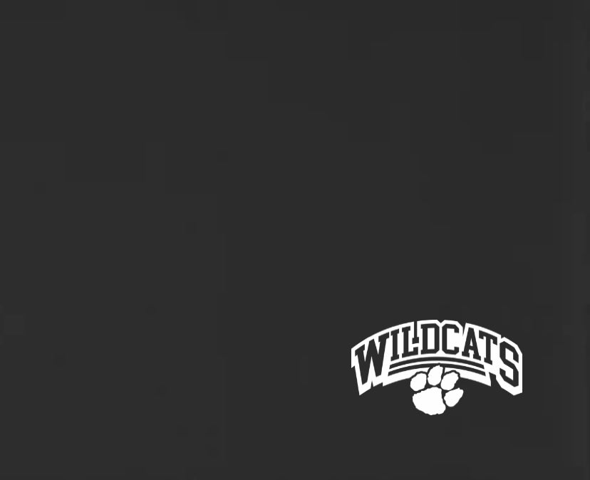 Wildcats Paw Stadium Blanket